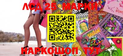 стаф Баксан