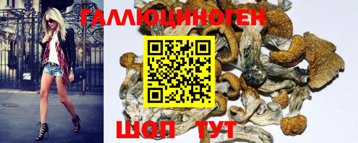 Галлюциногенные грибы MAGIC MUSHROOMS  Вход с VPN  Галлюциногенные грибы MAGIC MUSHROOMS  Сунжа 